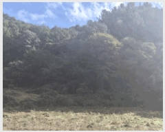  2025Ÿ��51874  �����