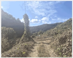  2025Ÿ��51874  �����