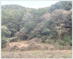  2025Ÿ��51874  �����