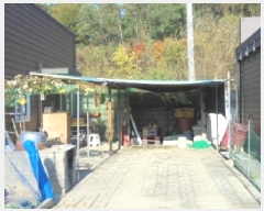  2025Ÿ��51913  ���ð��