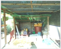  2025Ÿ��51913  ���ð��