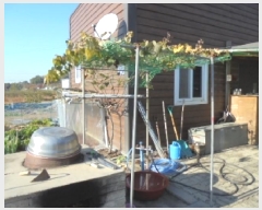  2025Ÿ��51913  ���ð��