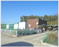  2025Ÿ��51913  ���ð��