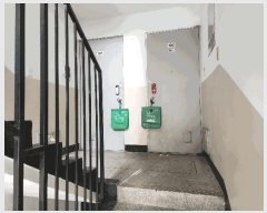  2025Ÿ��51925  �ټ���(����)���