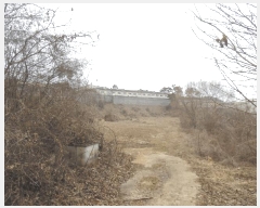  2025Ÿ��52112  �����