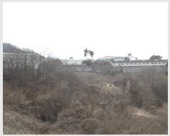  2025Ÿ��52112  �����