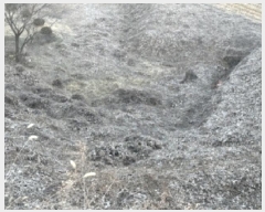  2025Ÿ��52112  �����