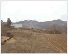  2025Ÿ��52112  �����