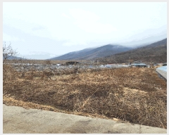  2025Ÿ��52147 ��� ���걺 ������ ���︮ 649      ����(��)���