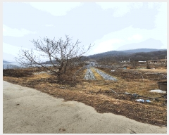  2025Ÿ��52147 ��� ���걺 ������ ���︮ 649      ����(��)���