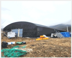  2025Ÿ��52147 ��� ���걺 ������ ���︮ 649      ����(��)���