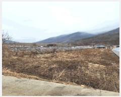  2025Ÿ��52147 ��� ���걺 ������ ���︮ 649      ����(��)���