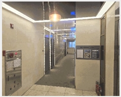  2025Ÿ��52150  ���ڽü����