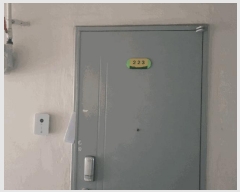  2025Ÿ1019  ûֽ  ŵ 41-5 żƮ 2 223ȣ   Ʈ