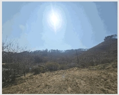  2025Ÿ1149  ûֽ 籸  ͷ 50-1     (Ӿ)