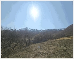  2025Ÿ1149  ûֽ 籸  ͷ 50-1     (Ӿ)