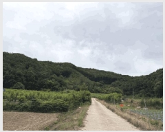  2025Ÿ��2593 ��� ������ ��ܸ� ���� 101-13      ����(��1)���