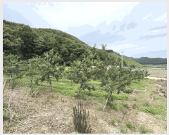  2025Ÿ��2593 ��� ������ ��ܸ� ���� 101-13      ����(��1)���