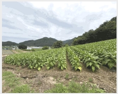  2025Ÿ��2593 ��� ������ ��ܸ� ���� 101-13      ����(��1)���