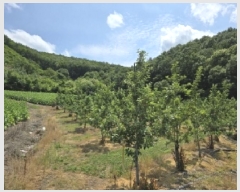  2025Ÿ��2593 ��� ������ ��ܸ� ���� 101-13      ����(��1)���