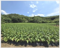  2025Ÿ��2593 ��� ������ ��ܸ� ���� 101-13      ����(��1)���