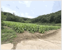  2025Ÿ��2593 ��� ������ ��ܸ� ���� 101-13      ����(��1)���