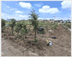  2025Ÿ��2616  ����