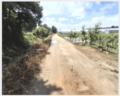  2025Ÿ��2616  ����