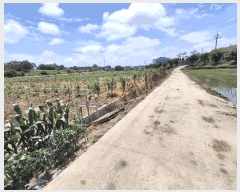  2025Ÿ��2616  ����