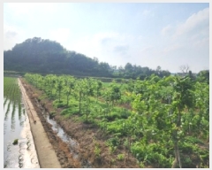  2025Ÿ��2616  ����