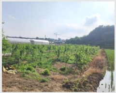  2025Ÿ��2616  ����