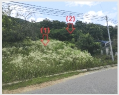  2025Ÿ2708  걺   146      (1)