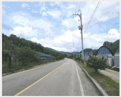  2025Ÿ2708  걺   146      (1)