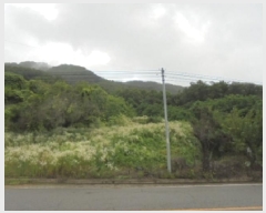  2025Ÿ2708  걺   146      (1)