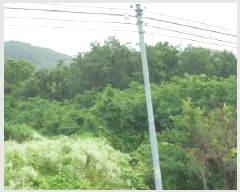  2025Ÿ2708  걺   146      (1)