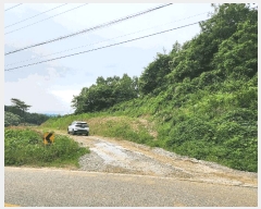  2025Ÿ��2753  �Ӿ߰��