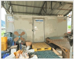  2025Ÿ��2753  �Ӿ߰��