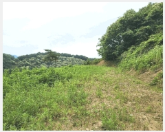  2025Ÿ��2753  �Ӿ߰��