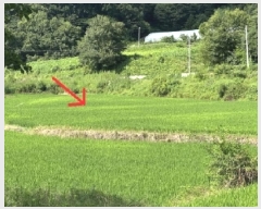  2025Ÿ��3459  ����