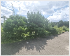  2025Ÿ��3763 ��� ��õ�� �̿��� �ſ��� 481-1      ���ð��