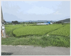  2025Ÿ��3961 ��� ���� ������ ���ϸ� 419      ����(��)���