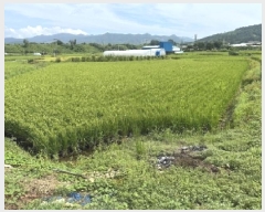  2025Ÿ��3961 ��� ���� ������ ���ϸ� 419      ����(��)���