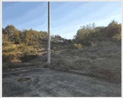  2025Ÿ��5073 ��� ��õ�� ������ ȭ�� 585-6      ����(��1)���