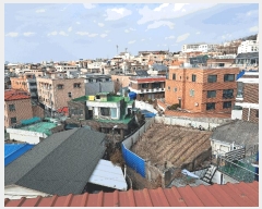  2025Ÿ��50861 ��� û�ֽ� û���� ��ϵ� 48-3      �ٰ������ð��