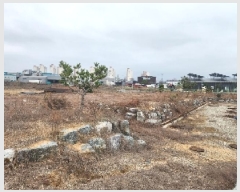  2025Ÿ��50953 ��� ��õ�� ��õ�� ����� 225-6      ����(��1)���