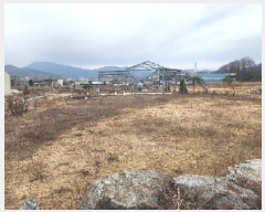  2025Ÿ��50953 ��� ��õ�� ��õ�� ����� 225-6      ����(��1)���