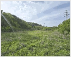  2025Ÿ50977  ûֽ  ̸ Ǹ 460-4     (Ӿ)