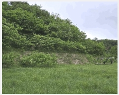  2025Ÿ50977  ûֽ  ̸ Ǹ 460-4     (Ӿ)