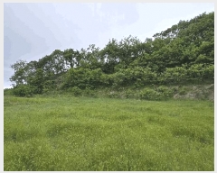  2025Ÿ50977  ûֽ  ̸ Ǹ 460-4     (Ӿ)