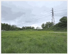  2025Ÿ50977  ûֽ  ̸ Ǹ 460-4     (Ӿ)